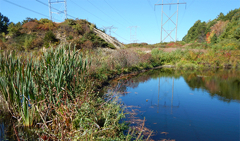 Electric lines travel across wetlands in New Hampshire.