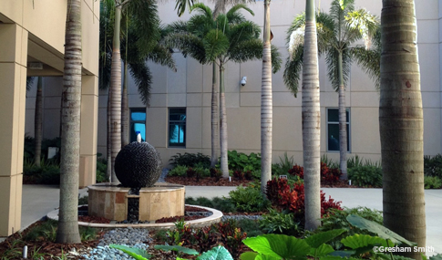 Palm trees and fountain in front of St. Joseph’s Hospital-South building. St-Josephs-Hospital-South-Social