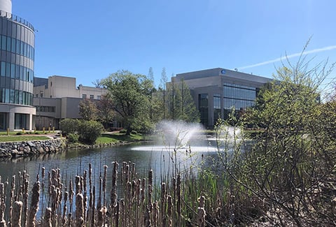 Water fountain at the Pfizer campus in Andover, Massachusetts.