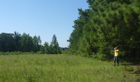 Person surveying open meadow with binoculars