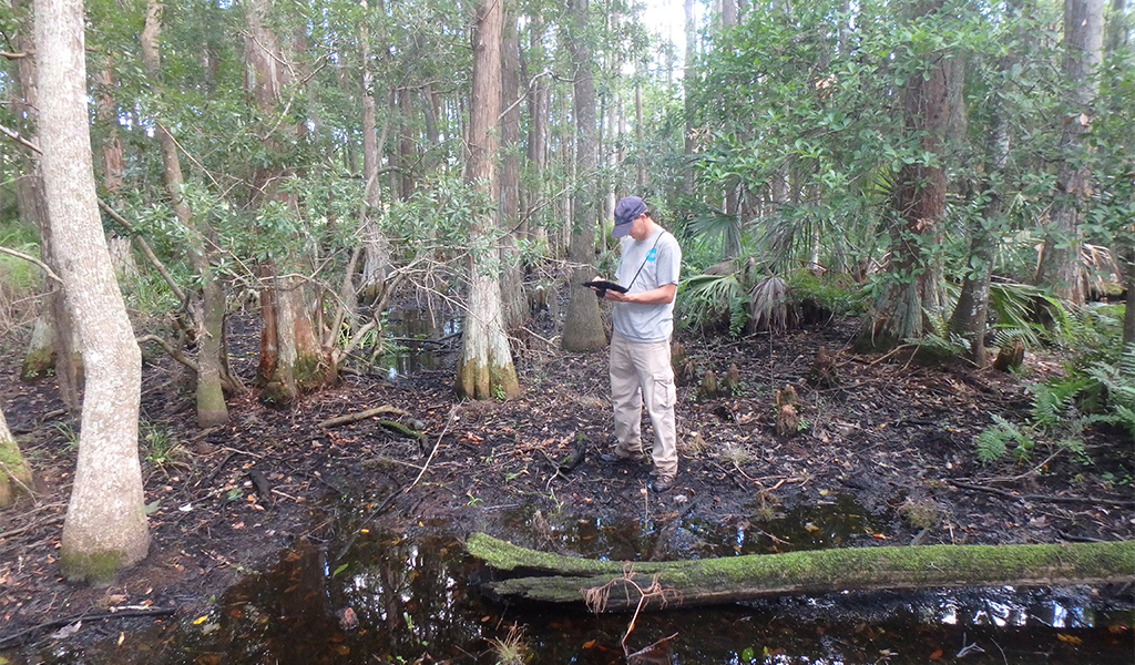 A man makes notes on a table about wetland conditions.