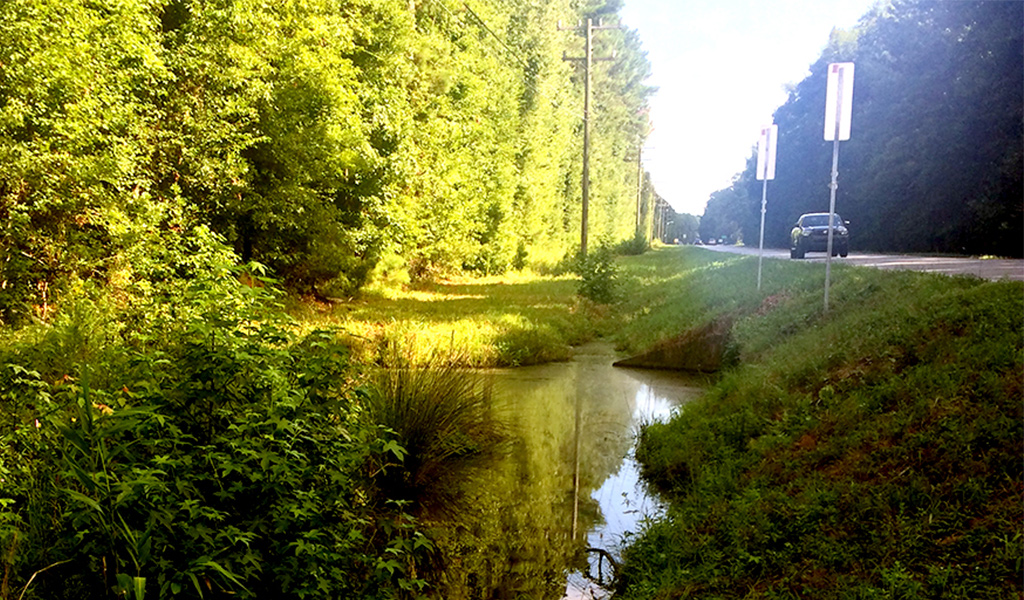 A car drives along a rural road next to a waterway in Georgia.