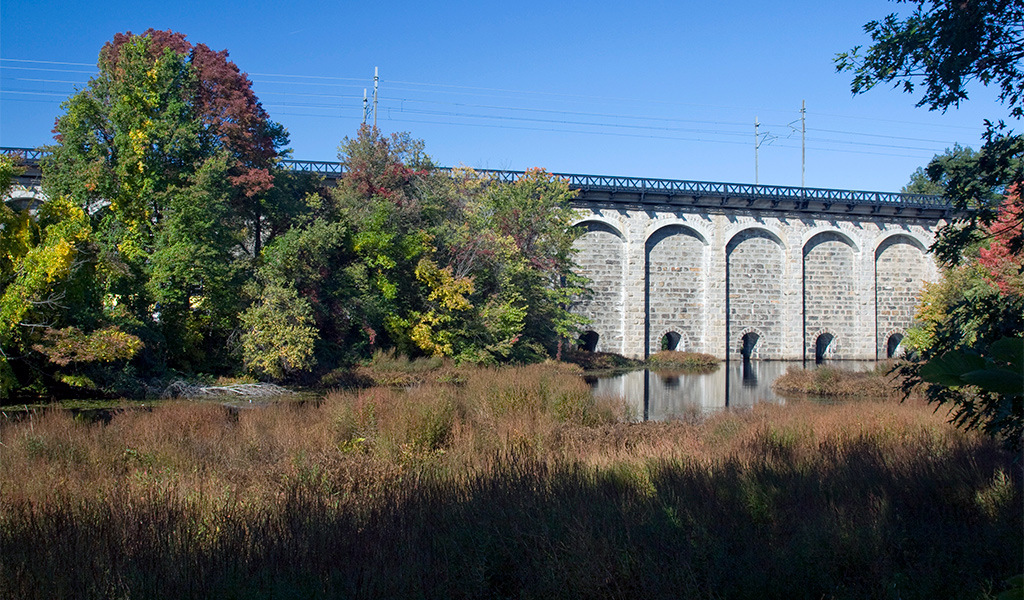 Wetlands lie in the foreground of a stone railway bridge.