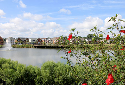 The 87-acre Broad Creek residential site in Norfolk, Virginia.