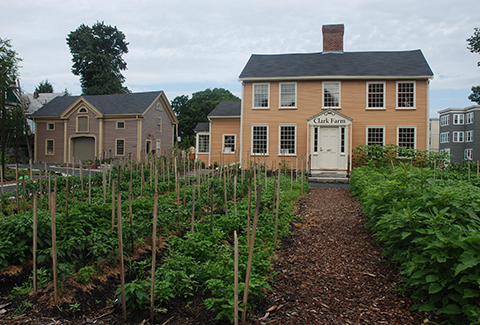 A yellow two-story house stands behind a garden divided by a path.