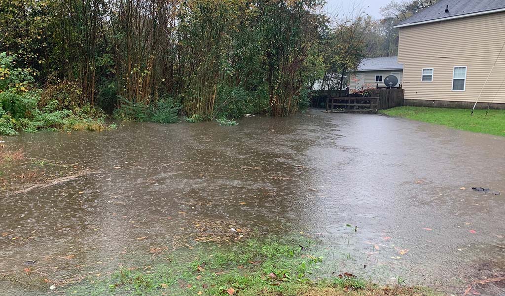 Backyard of home flooded with leaves and debris.