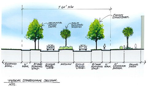 A color drawing of a streetscape with trees and cars