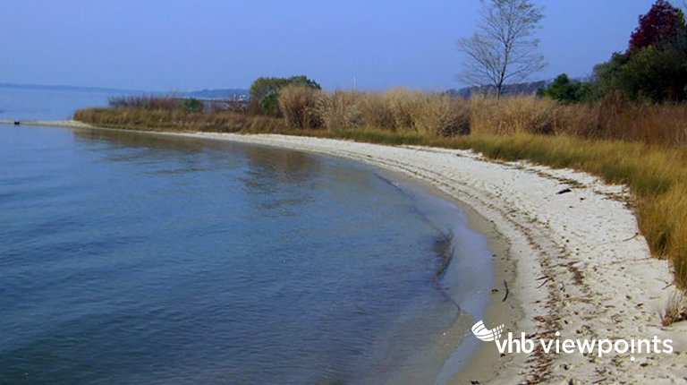 Water’s edge with sand and plant life integrated as a living shoreline.